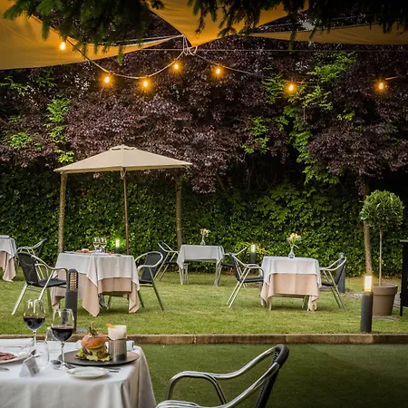 Virginia Sabiñánigo