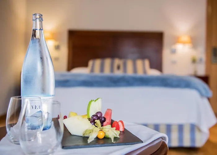 Virginia Sabiñánigo